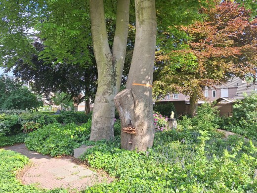 Kappen monumentale beuk