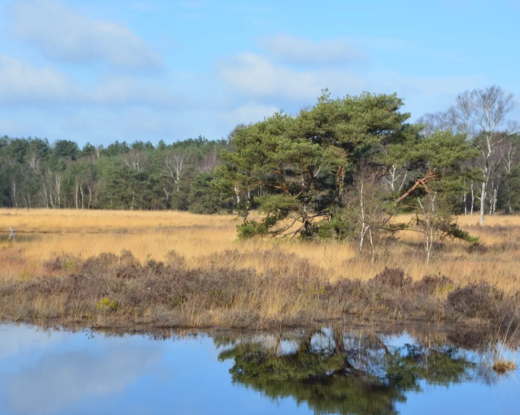 28 oktober Natuurwerkdag