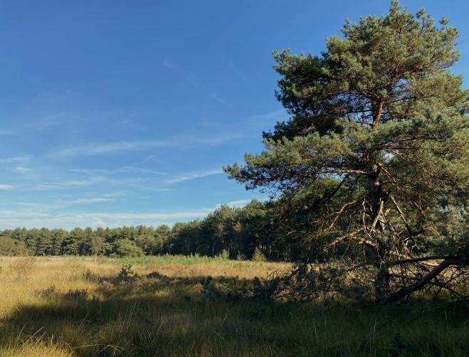 19 november Natuurwerkdag - gaat niet door