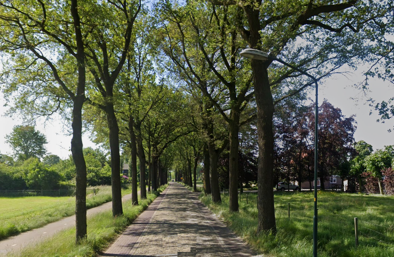 Snoeiwerkzaamheden Casterseweg, Neterselseweg