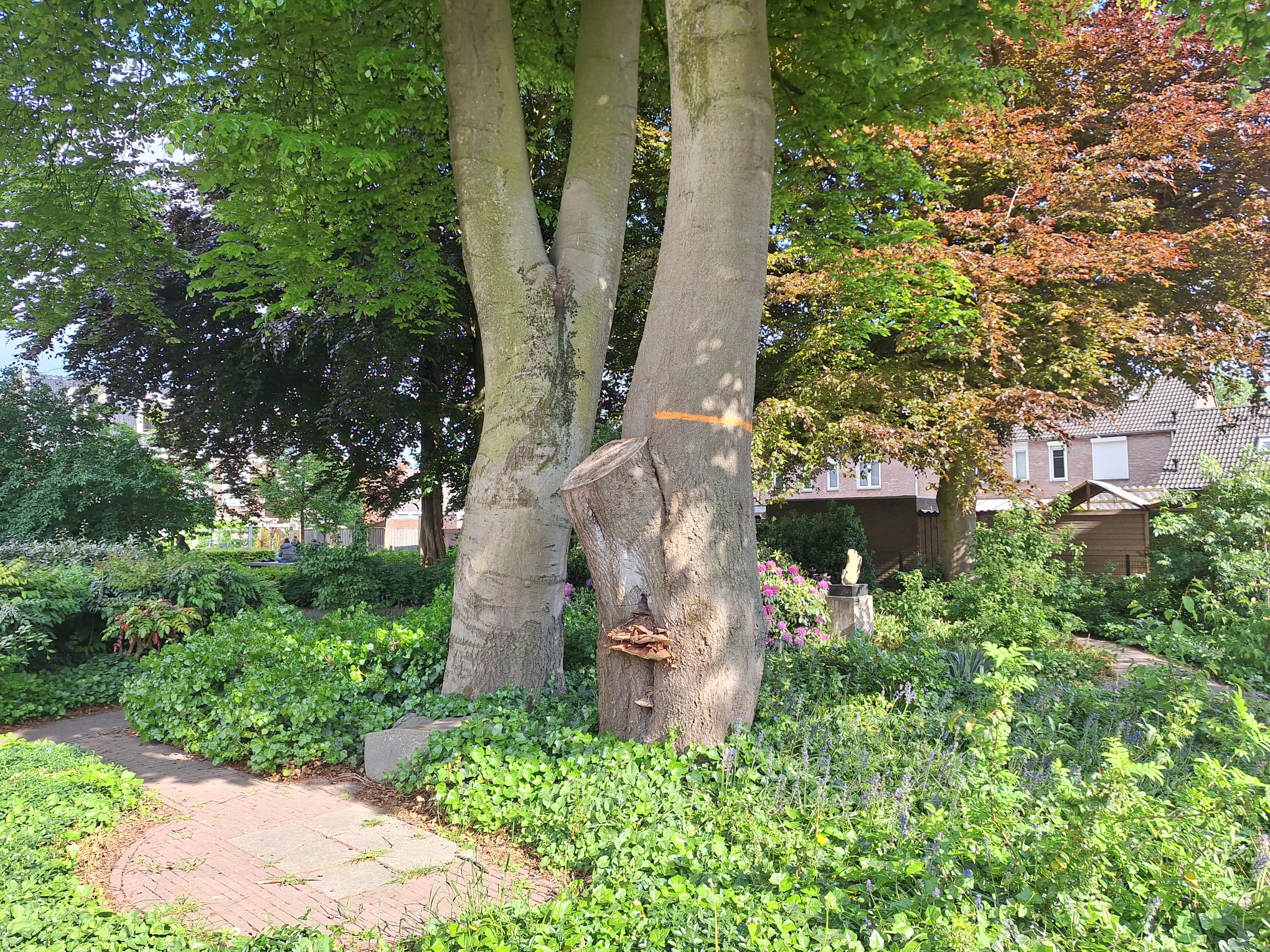 Kappen monumentale beuk