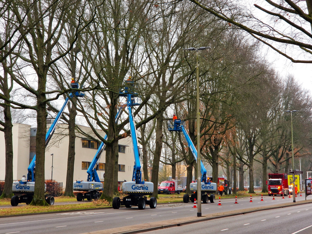 Wegafsluiting i.v.m. snoeiwerkzaamheden